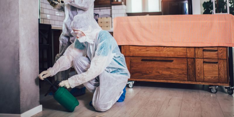 Dedetização em Apartamento Como Funciona em Campo Grande: Confira 4 Passos